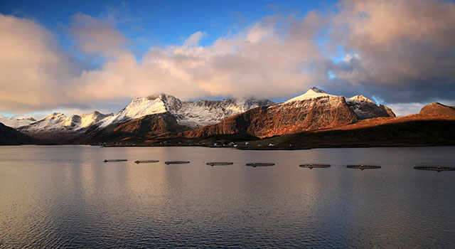 Lofoten